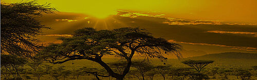 Depositphotos
